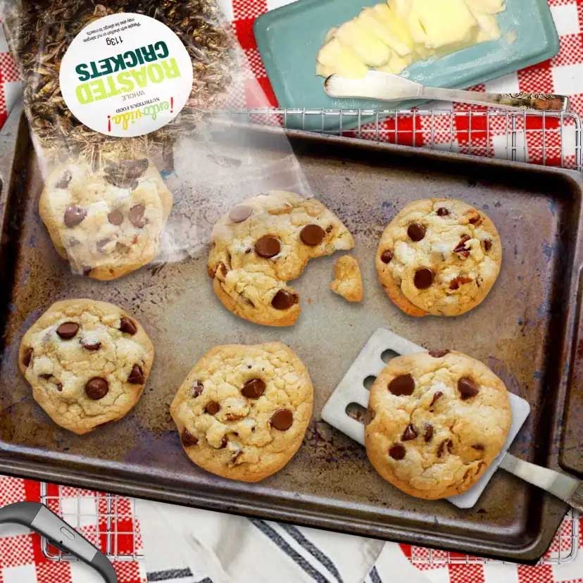 Chocolate Chirp Cookies Chocolate Chirp Cookies