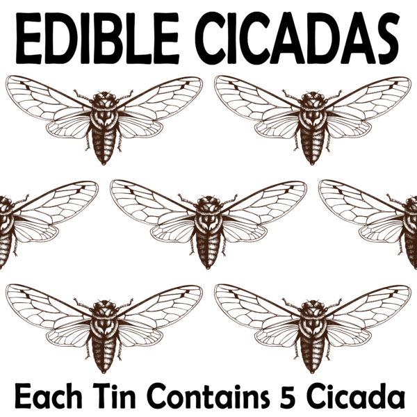 Edible Cicada Tin